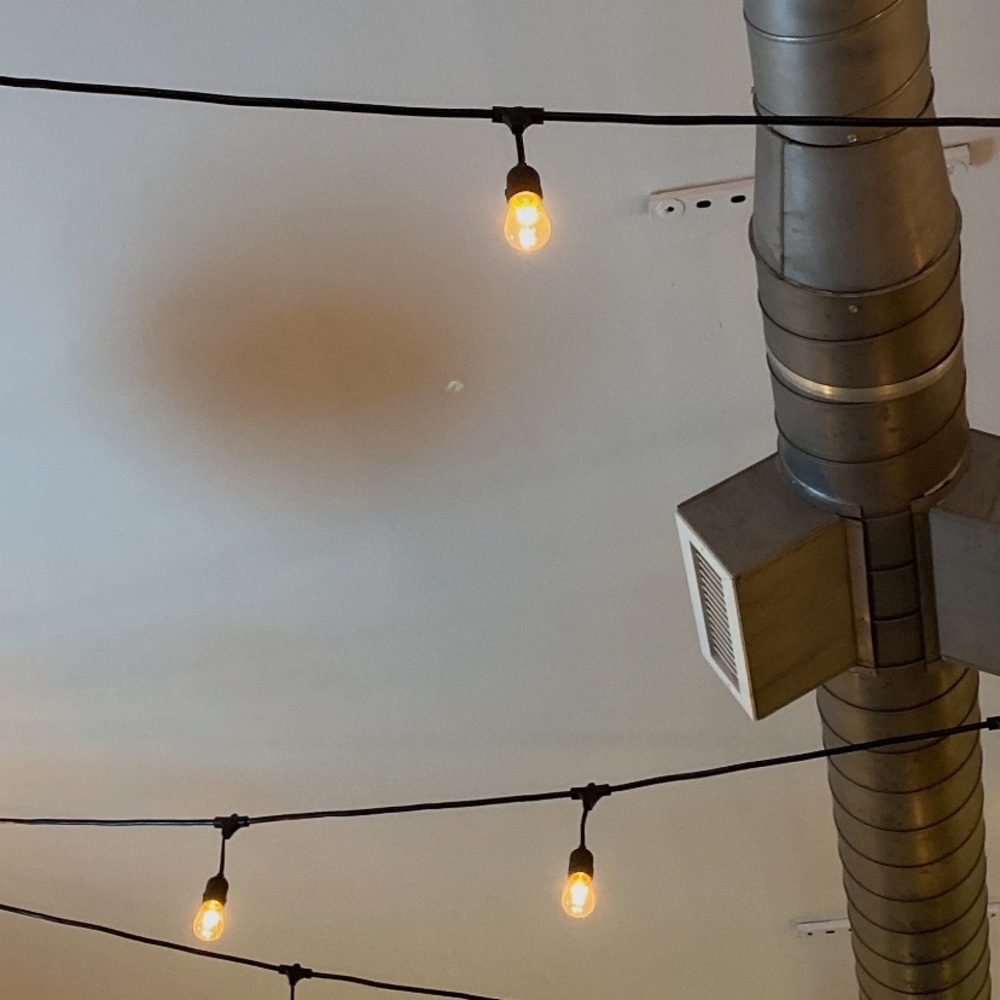 Meet your Posher, Soleil